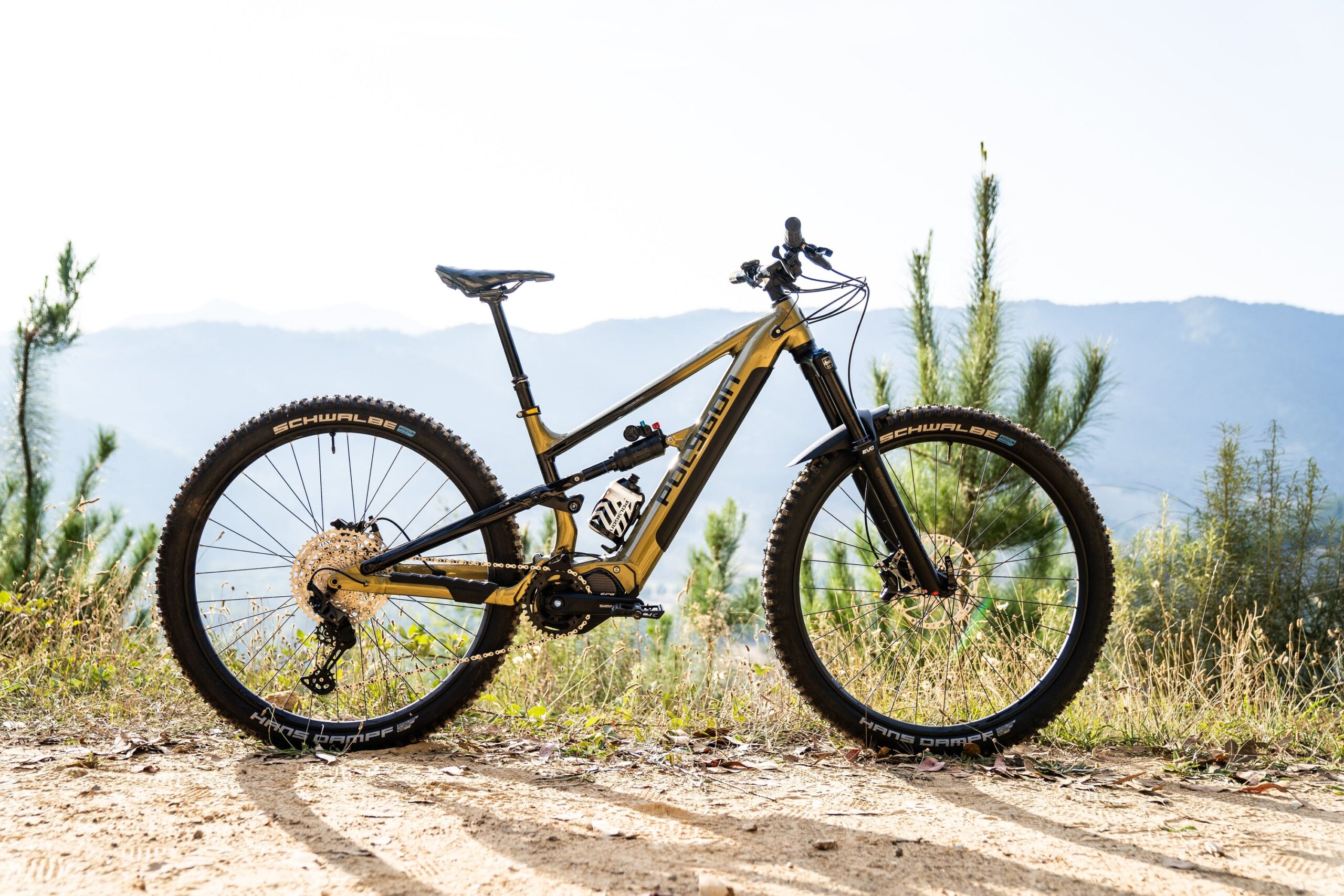WheelCrazes Bike